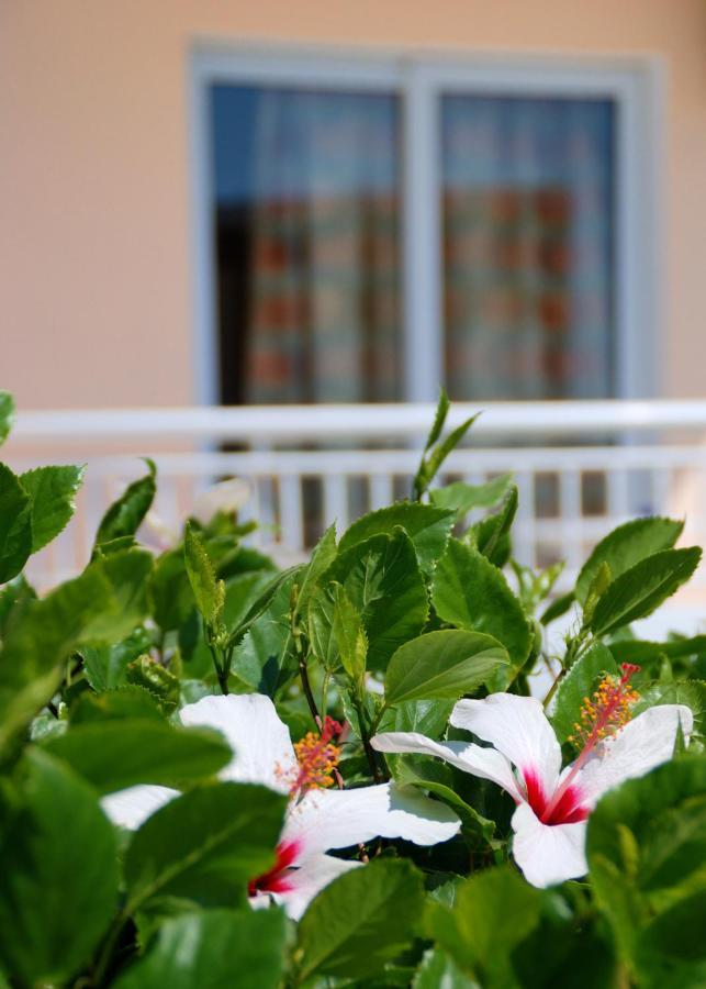 Diagoras Hotel All Inclusive Faliraki Buitenkant foto
